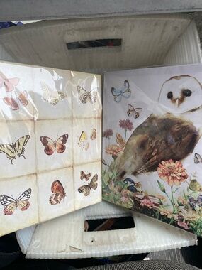 Nature-Inspired Owl & Butterfly Wall Art Prints in Cream and Brown